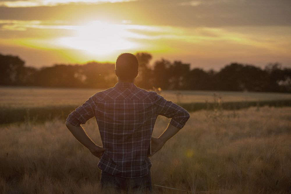 기여분을 15% 인정, 원하는 상속재산을 단독으로 분할받은 사안