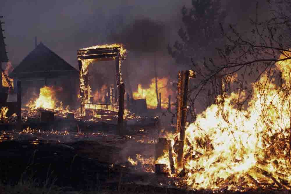 마약 함정수사와 관련되어 위법 수집 증거에 관한 대법원 판결