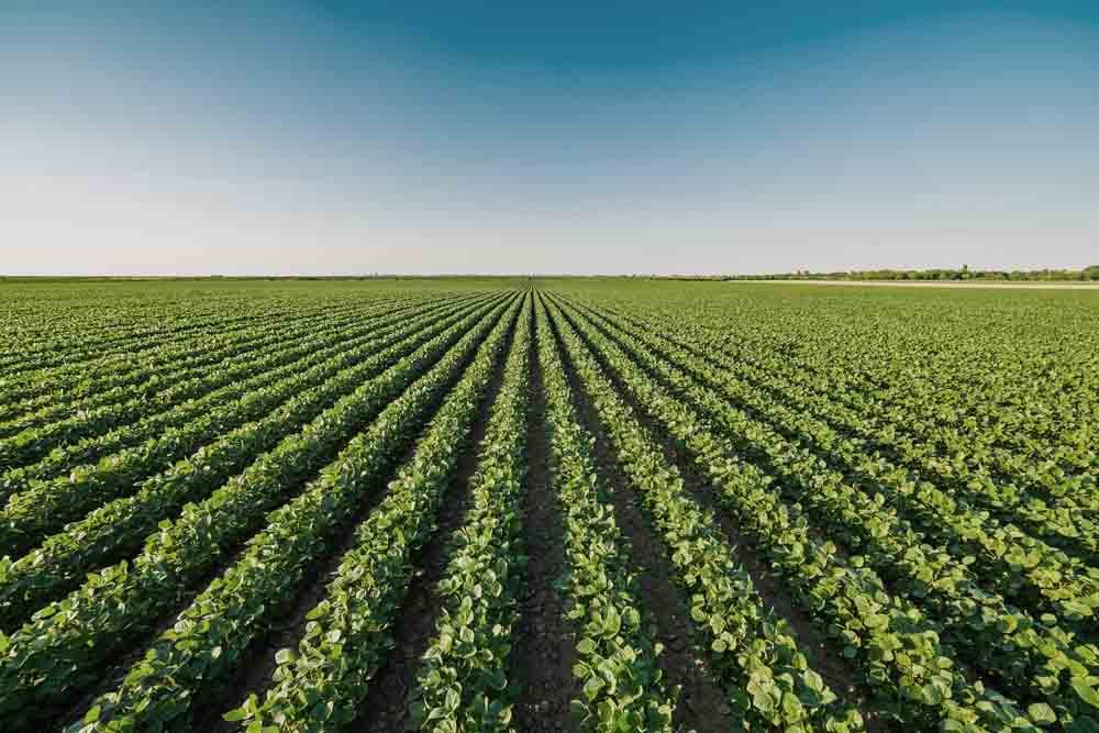 명의신탁 재산임을 전제로 부당이득반환을 청구한 사건에서 승소