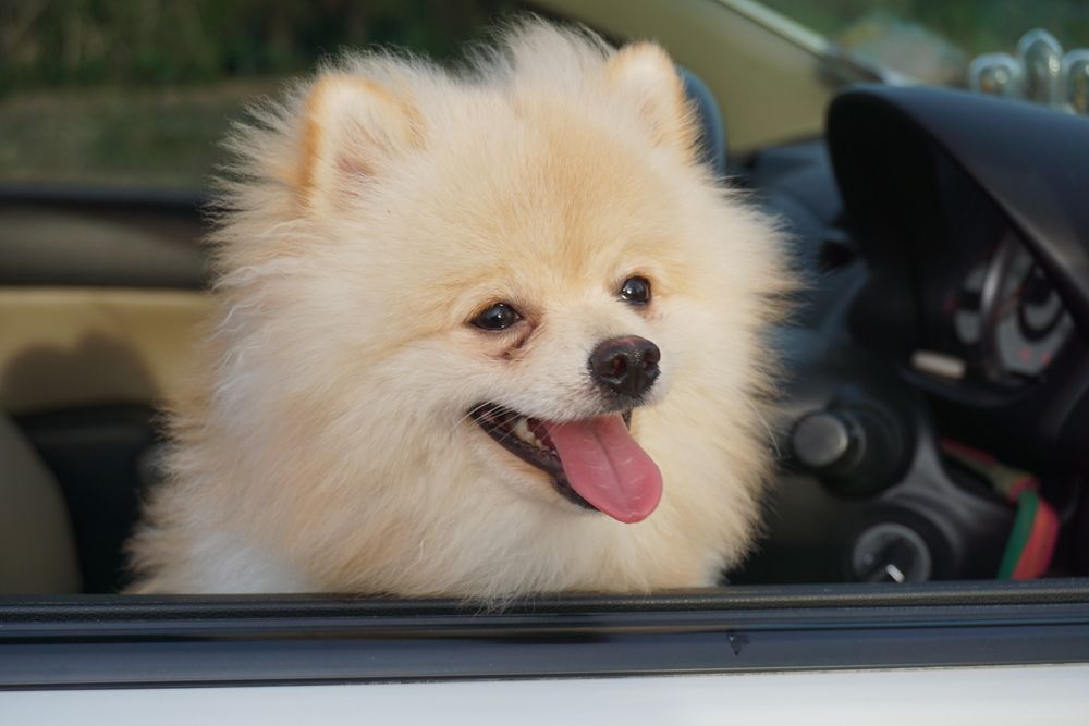 신생아 패혈증에 대한 진단및치료지연이 뇌병변 장애를 일으킨 사례