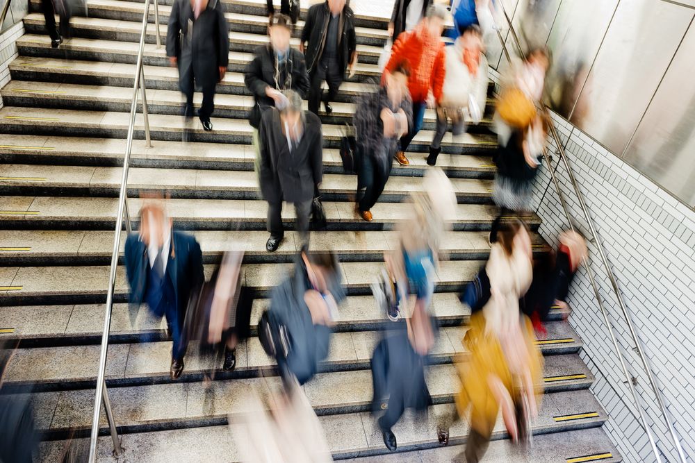 업무상 과실치사 검사 항소 기각으로 벌금형 처분 사례