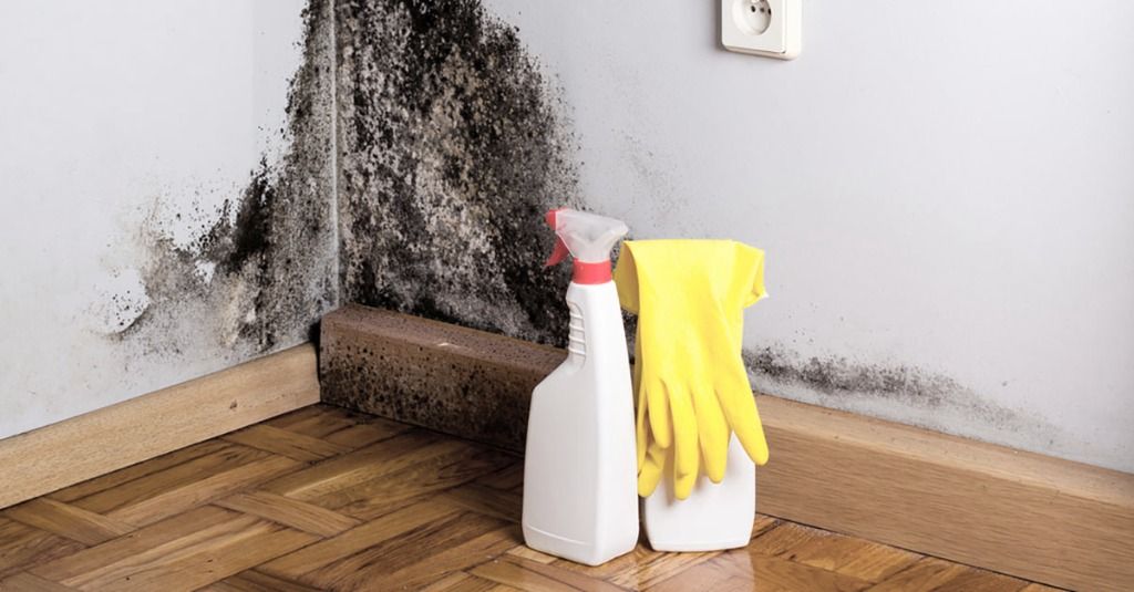 밀린 월세 받는 방법 알려드립니다.