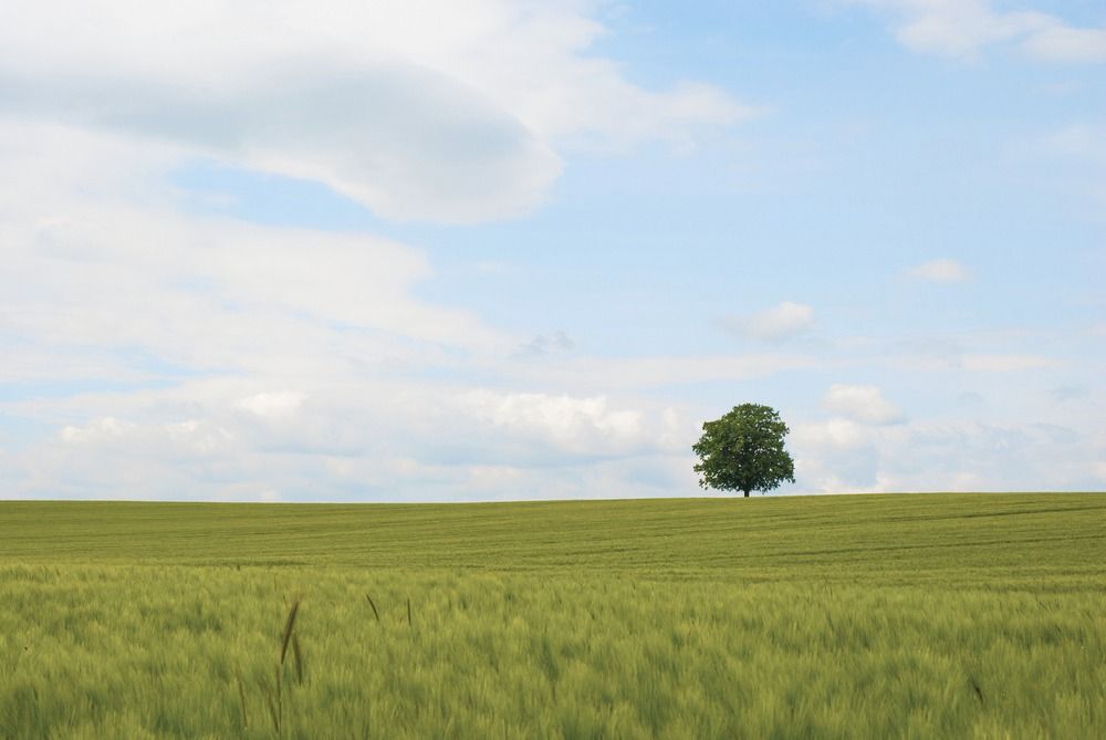 ☑️ 전세사기 대응방법은 어떤 것이 있을까요?